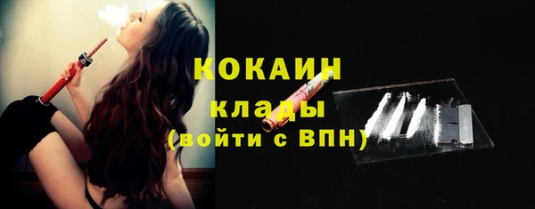 spice Алексин