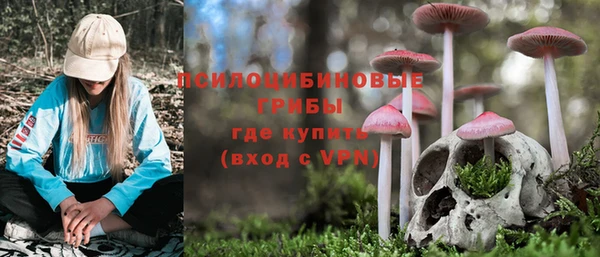 spice Алексин