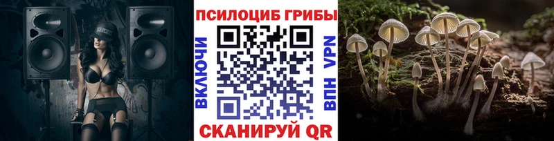 Галлюциногенные грибы MAGIC MUSHROOMS  Заинск 