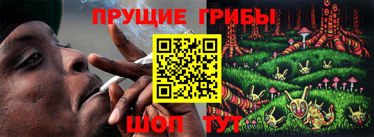 Псилоцибиновые грибы MAGIC MUSHROOMS  Вход с VPN  Заинск 